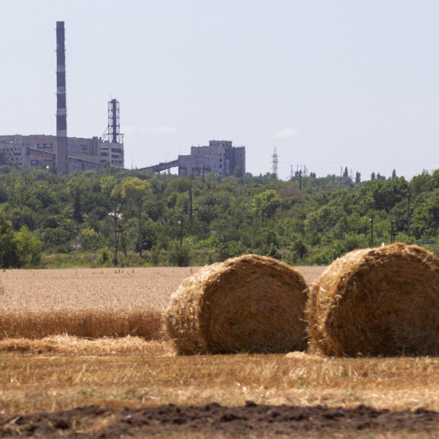 proizvodnja pšenice u Ukrajini
