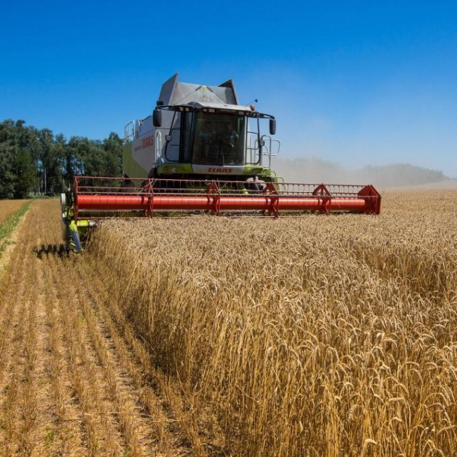 Kombajn u polju u Ukrajini (arhiva)
