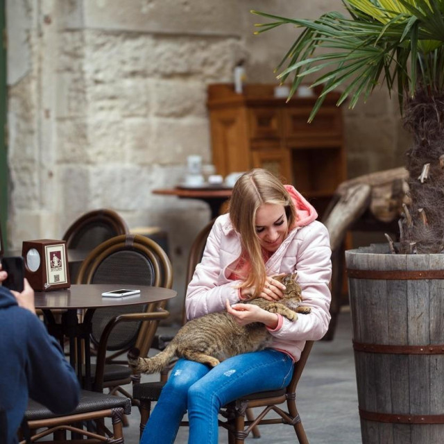 Cat Cafe Lviv, arhivska snimka
