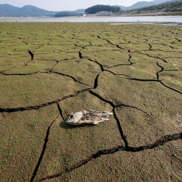 Ublažavanje klimatskih promjena jedan je od prioriteta
