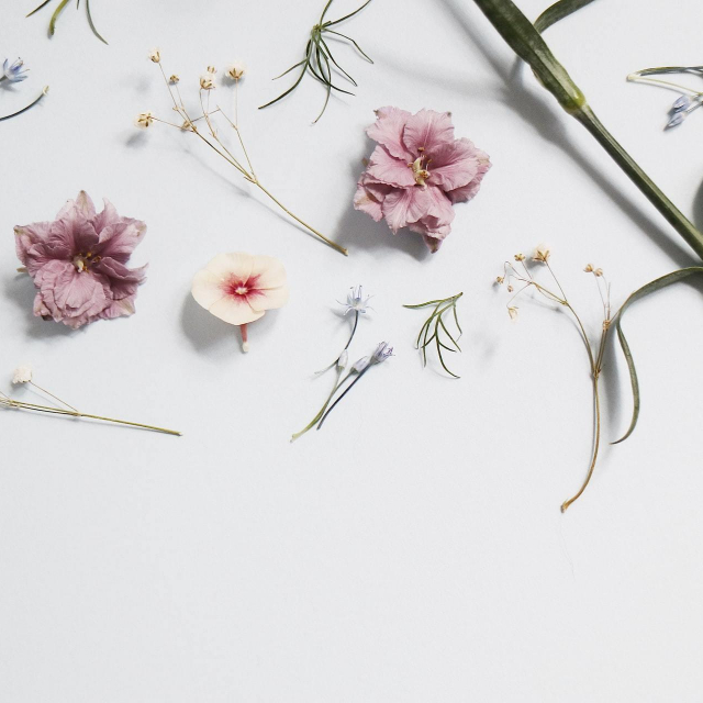 Fotografija: Anna Sullivan/Unsplash