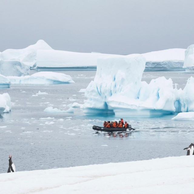 Otok Cuverville, Antarktika
