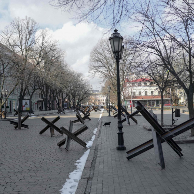 Protutenkovski ježevi
