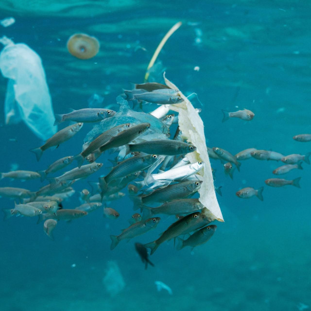 U 2019. godini u oceanima je završilo 1,7 milijuna tona plastičnog otpada
