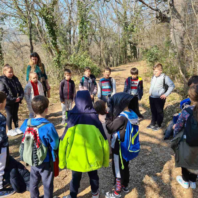 Edukacija u prirodi