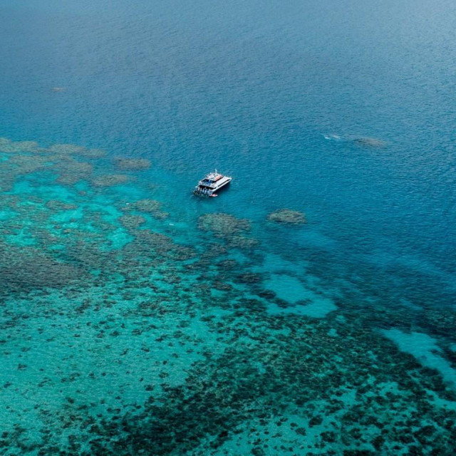 Veliki koraljni greben
