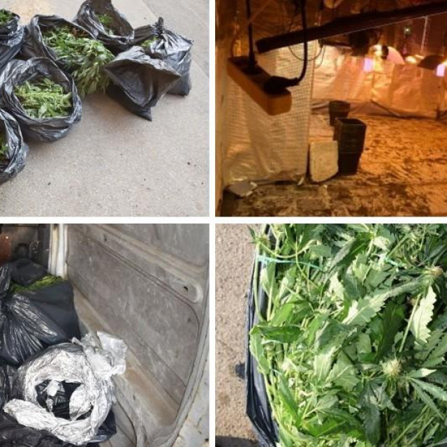 Policija zaplijenila marihuanu u Zagrebu
