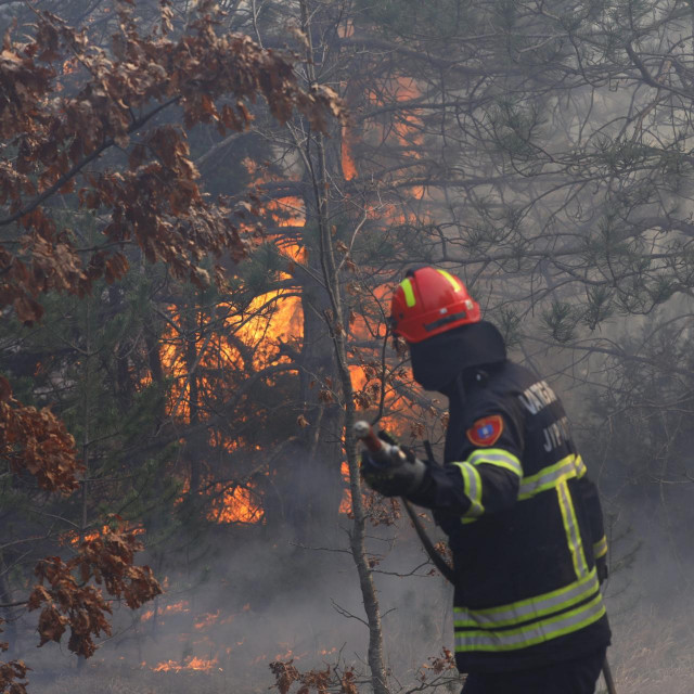 Arhivska fotografija
