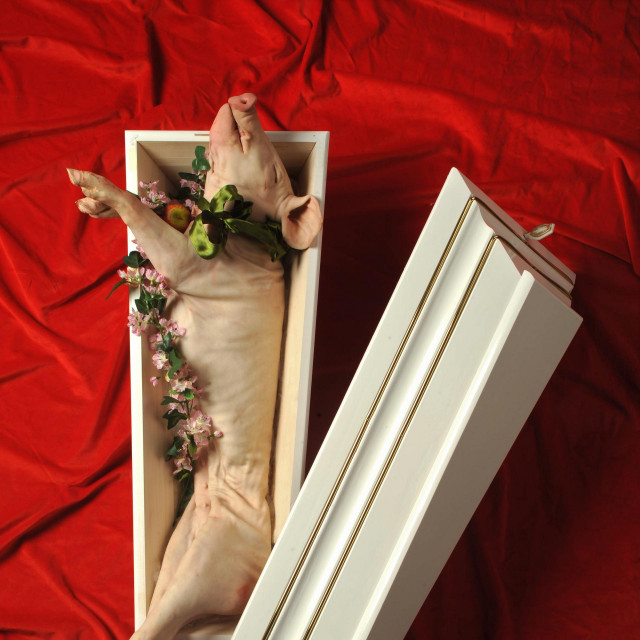 Paulina Jazvić: Homage to Gojko