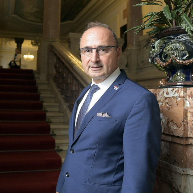 Gordan Grlić Radman