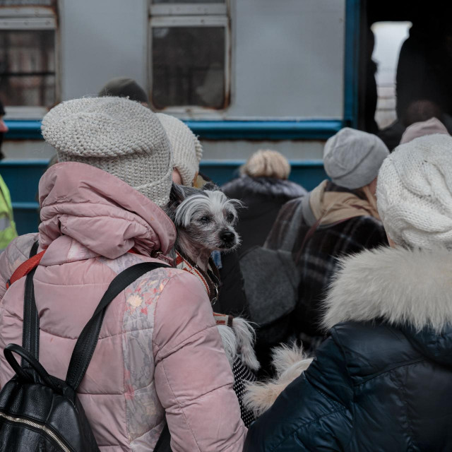 Ukrajinski izbjeglice, Ilustrativna fotografija
