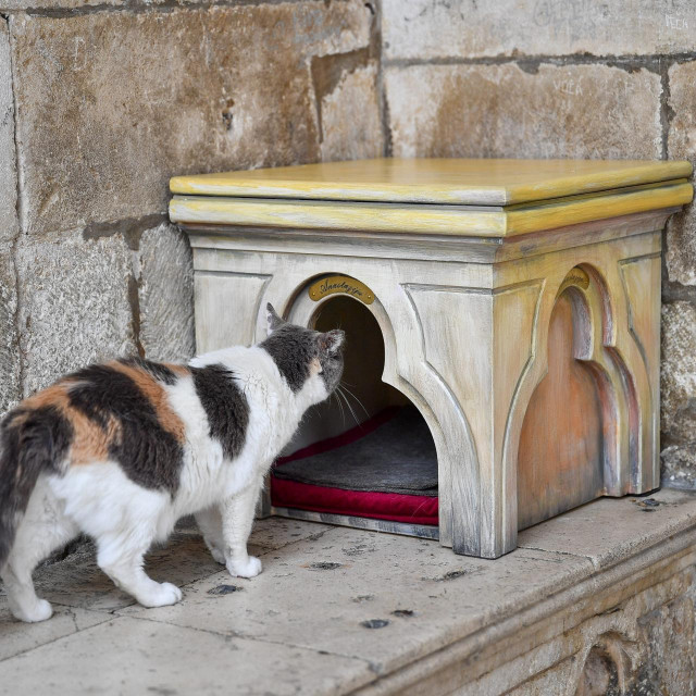 Anastazija i njena nova kućica