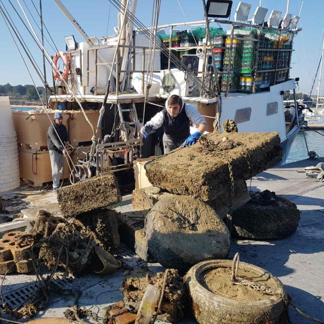 Sidrišta u Medulinu