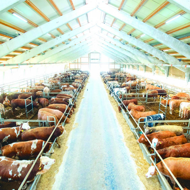 Farma Šumbar u Karlovcu, PPK karlovačka mesna industrija.  