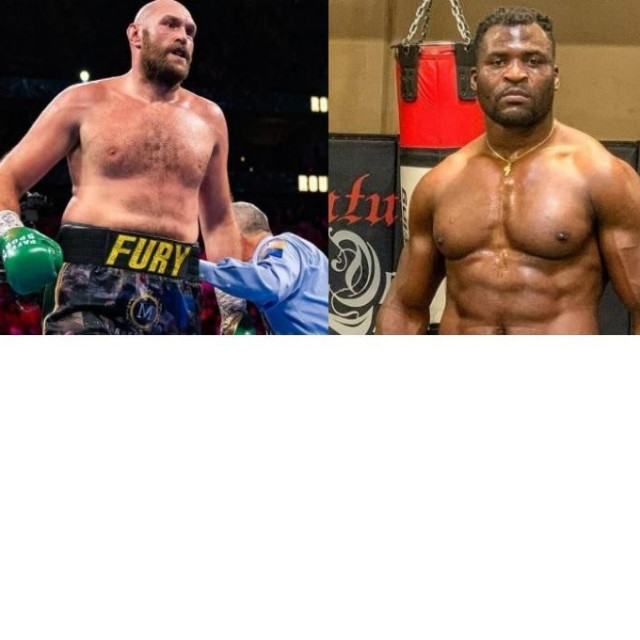 Francis Ngannou, Tyson Fury