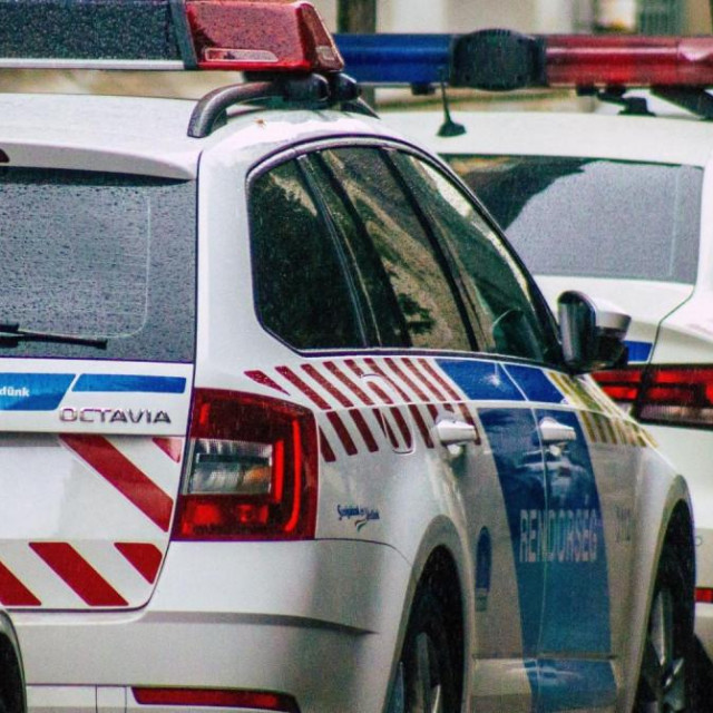 Mađarska policija/Ilustracija