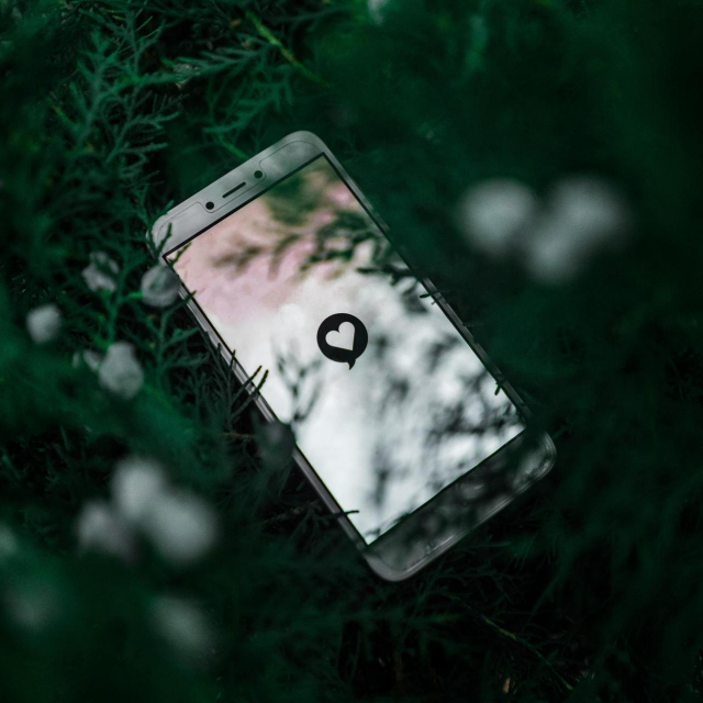 Fotografije: Unsplash; Privatna arhiva 