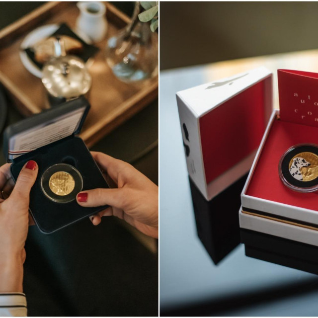 Zlatnik Dalmatinski pas