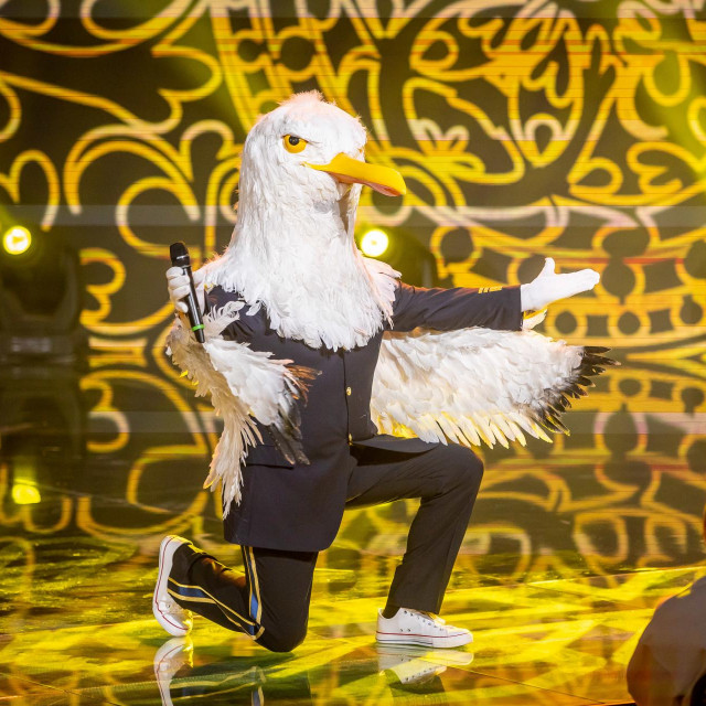 Masked Singer - Galeb