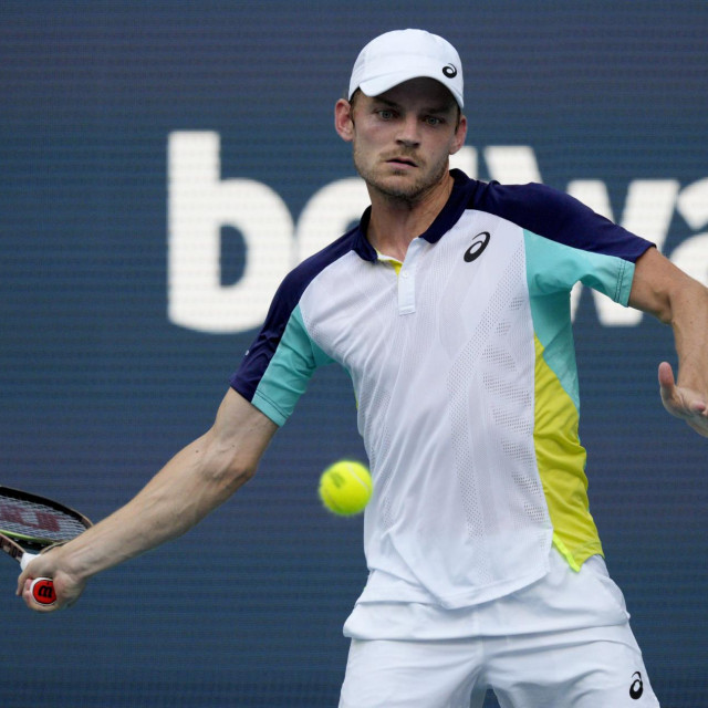 David Goffin