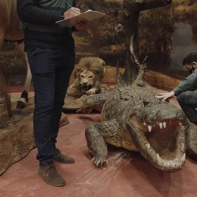 Policija pretražuje otkrivenu zbirku