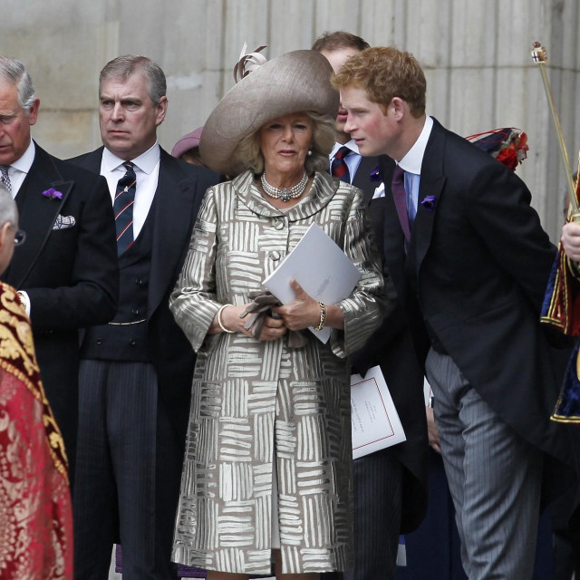 Princ Harry i Camilla, 2012. godine