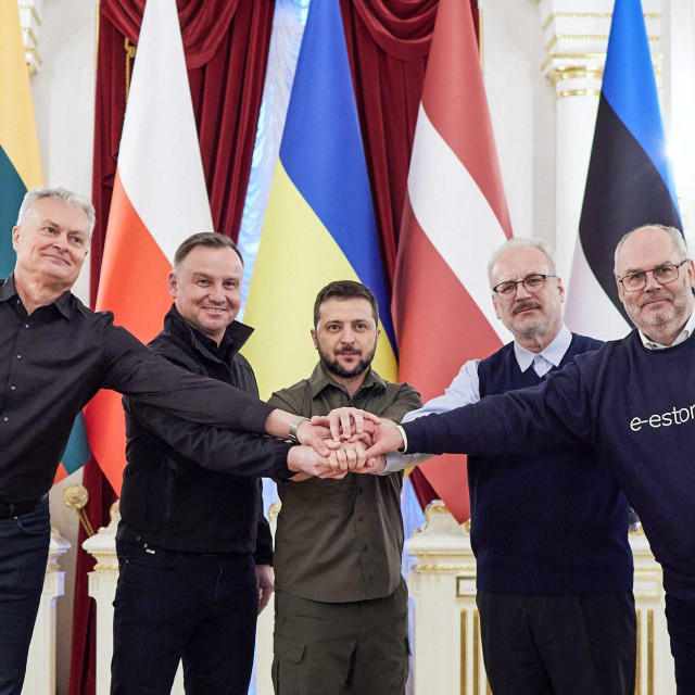 Gitanas Nauseda, Andrzej Duda, Volodimir Zelenski, Egils Levits, Alar Karis
