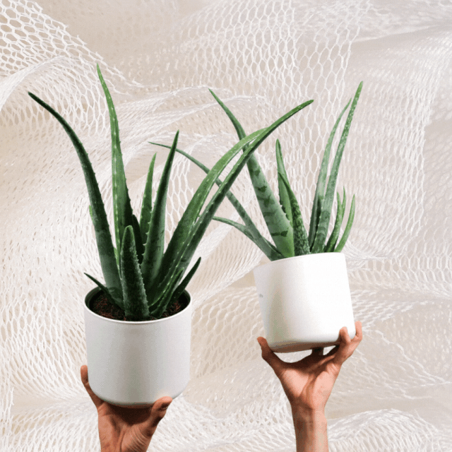 Fotografija: Unsplash/Canva