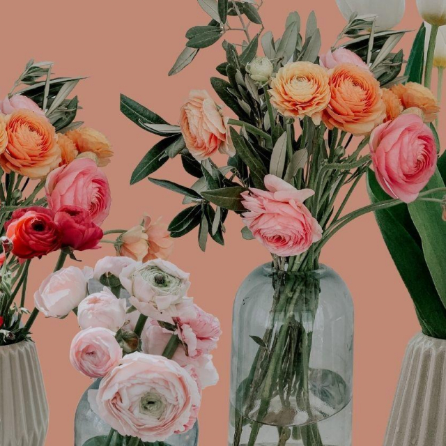 Fotografije: Privatna arhiva