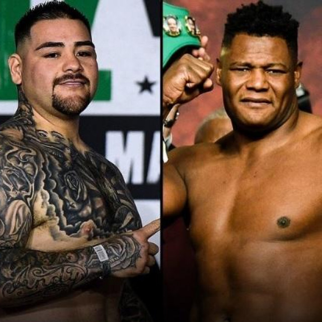 Luis Ortiz, Andy Ruiz
