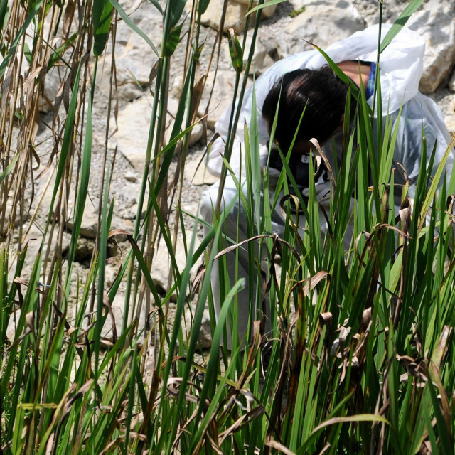 Očevid na Mrežnici, Ilustrativna fotografija