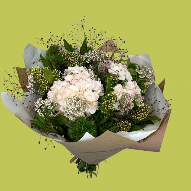 Fotografije: Đardin