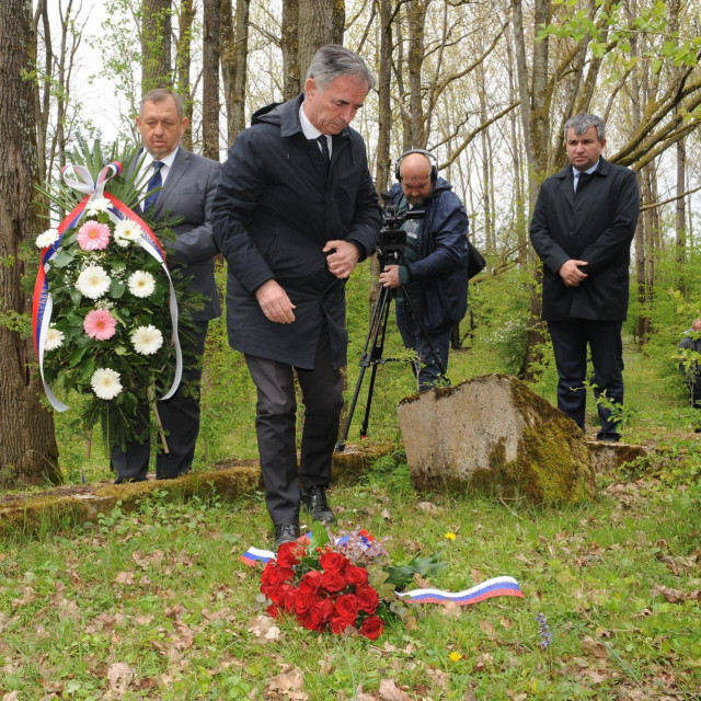 Milorad Pupovac
