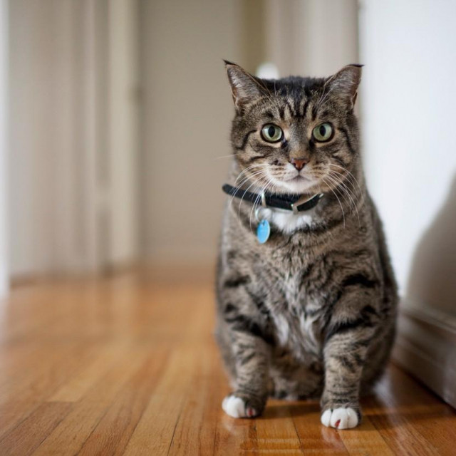 Image: 122889385, License: Royalty-free, Restrictions:, Model Release: no, Credit line: -/DesignPics/Profimedia