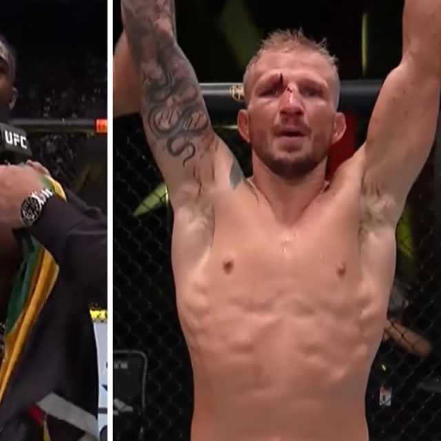 Aljamain Sterling i T.J. Dillashaw