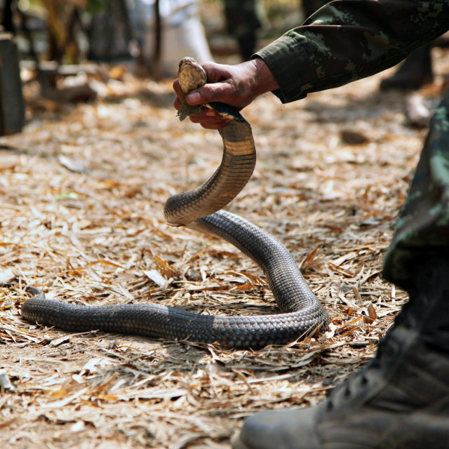 Image: 184915240, License: Rights-managed, Restrictions:, Model Release: no, Credit line: Planetpix/Alamy/Alamy/Profimedia