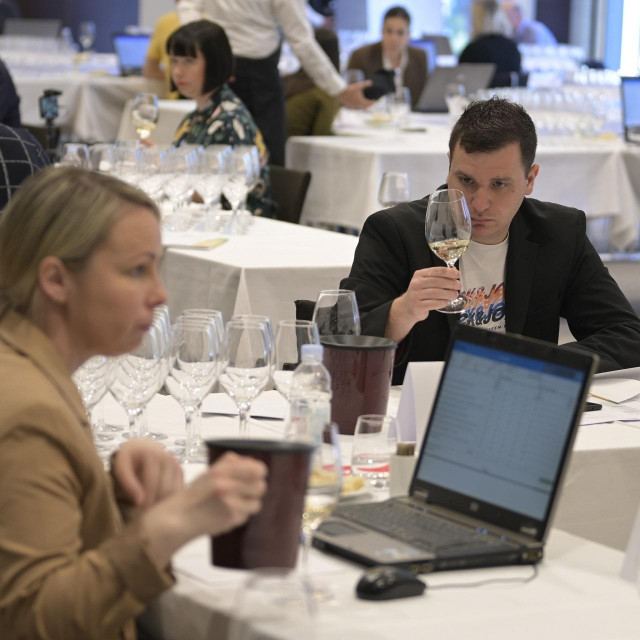 Ocjenjivanje Vinistra