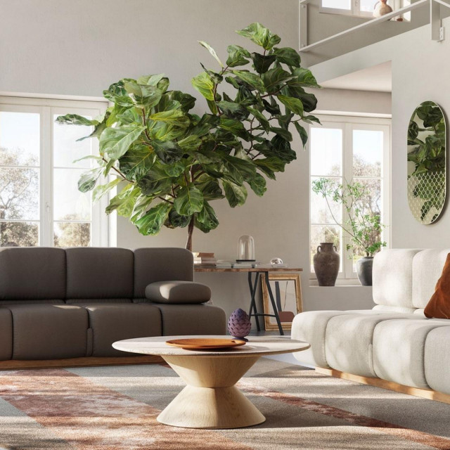 Sofa Sohay, Natuzzi Store Zagreb, Buzin