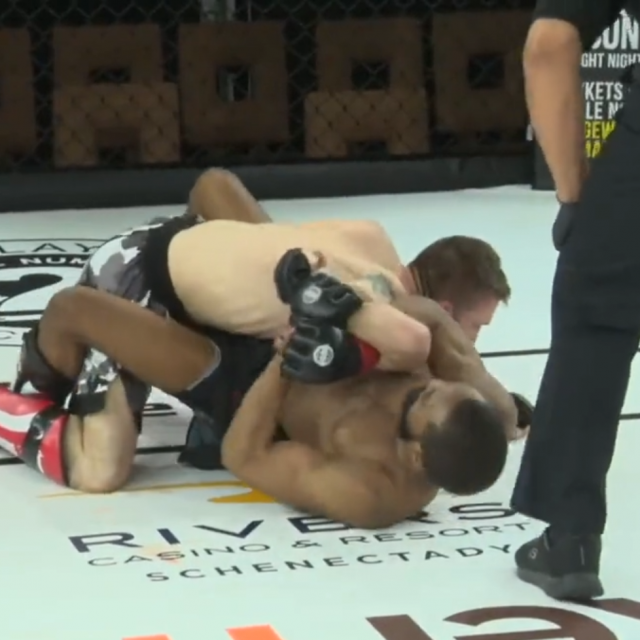 Palmer vs Farasci