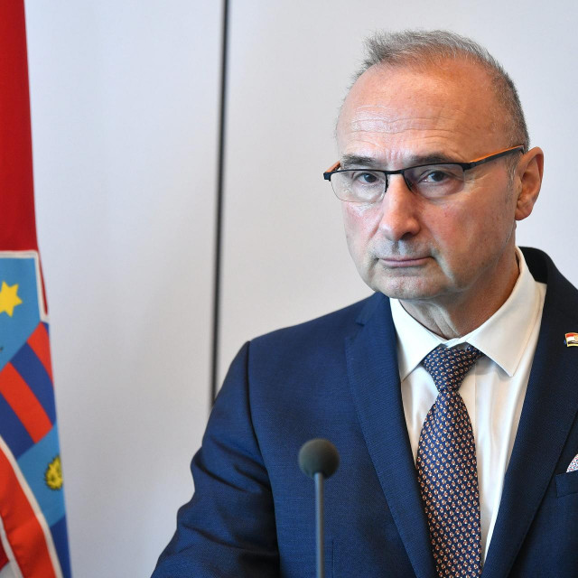 Gordan Grlić Radman