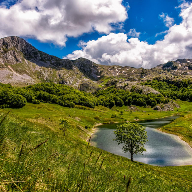 Zelengora, Orlovačko jezero