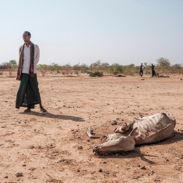 Suša u Somaliji, 2022.