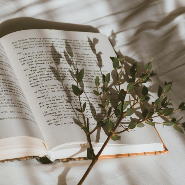 Fotografija: Unsplash 