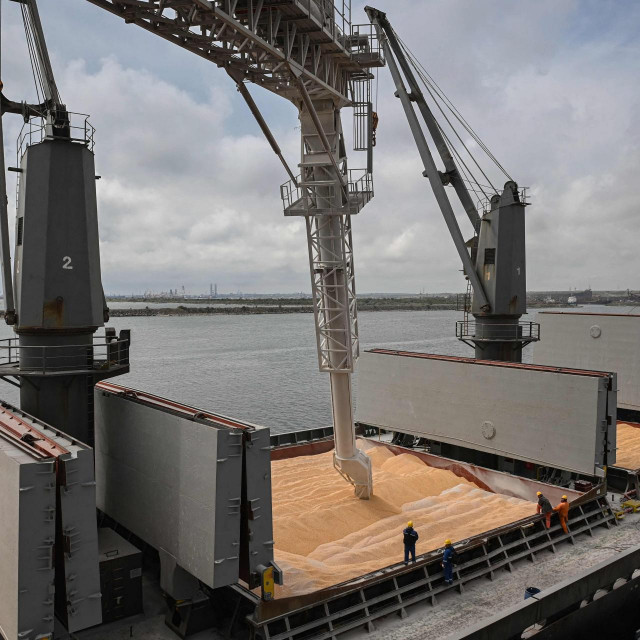 Prekrcaj žitarica u Ukrajini / Ilustracija