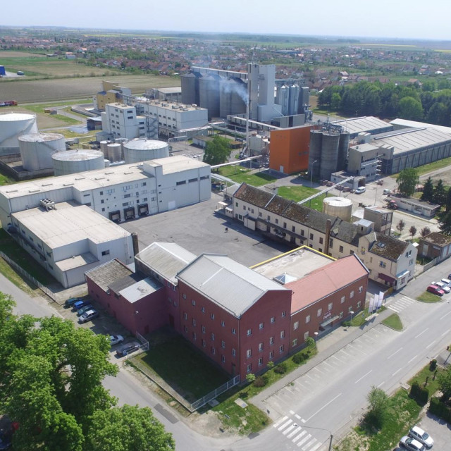 uljara Žito grupe