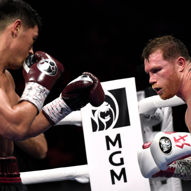 Bivol vs Canelo