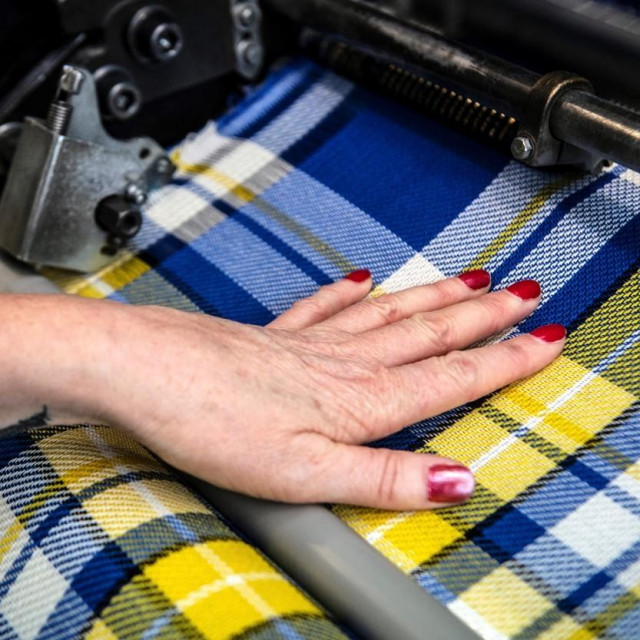 Žuto-plavi tartan.