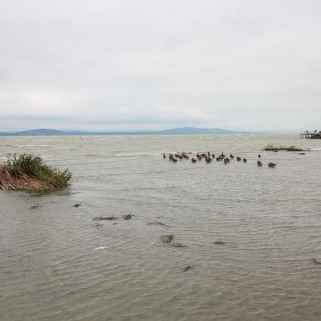Jezero Balaton