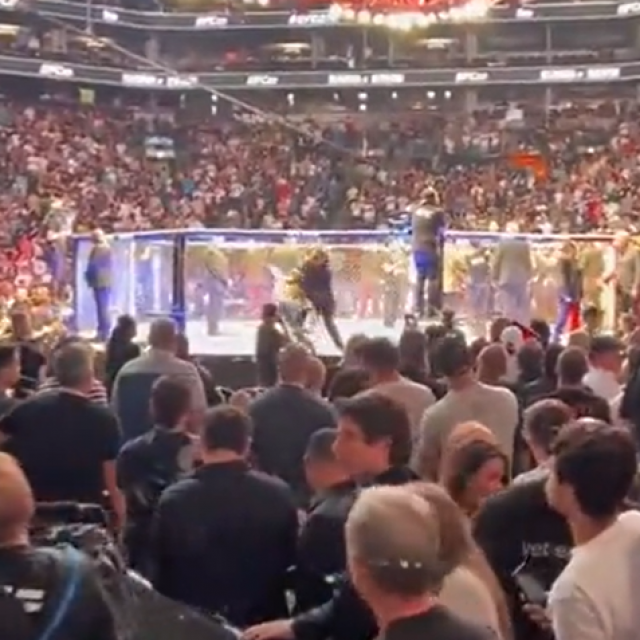 UFC 274