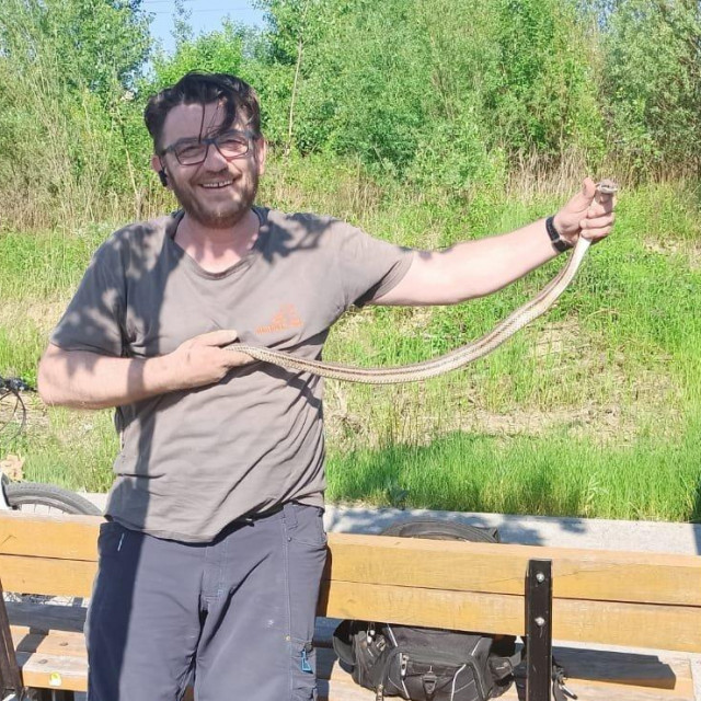 Hvatač Dalibor i kravosas